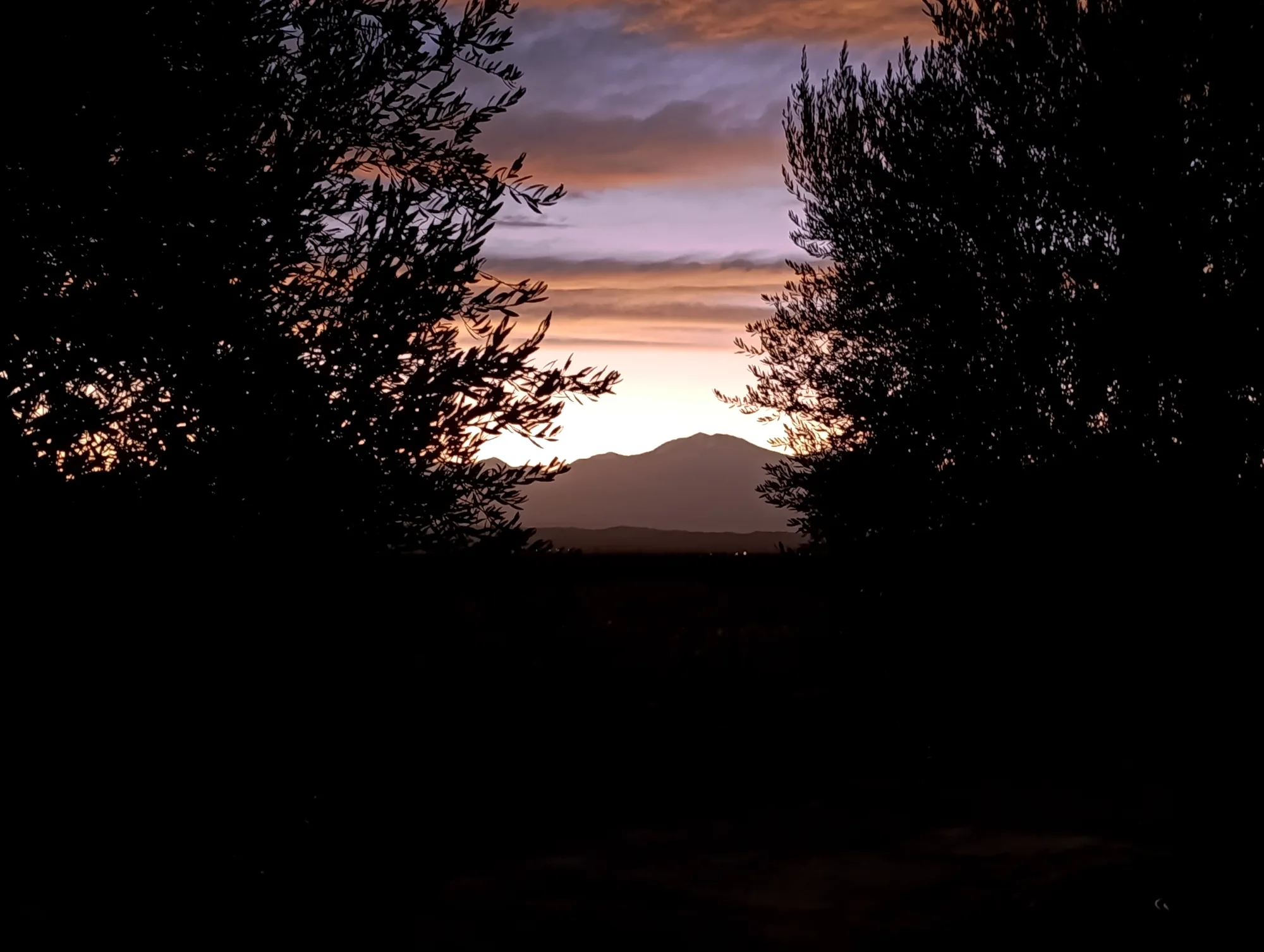 El cerro entre los árboles